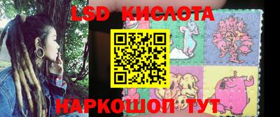 сатива Кингисепп