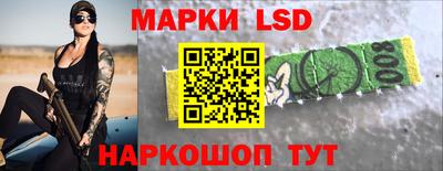 сатива Кингисепп