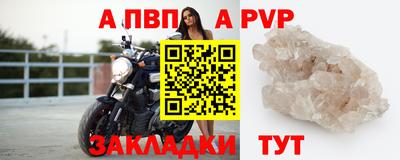 сатива Кингисепп