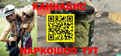 сатива Кингисепп