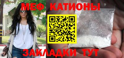 сатива Кингисепп
