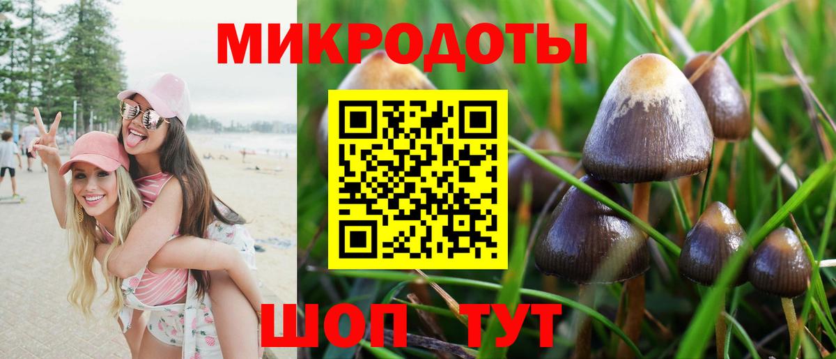 Псилоцибиновые грибы мицелий Котельники